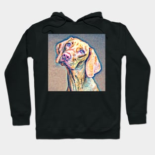 Dog Cuteness - Weimaraner Hoodie